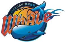 Sichuan Whale